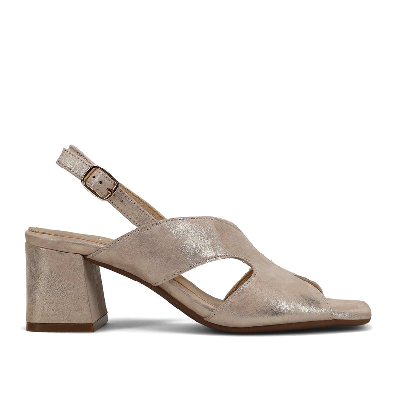 Vaneli Daffy in Champagne